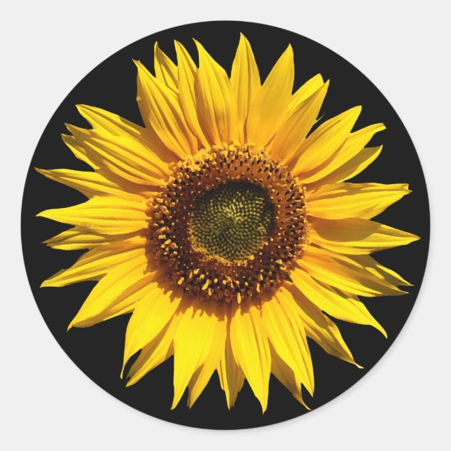 Sticker Rond Un grand tournesol jaune (Devant)