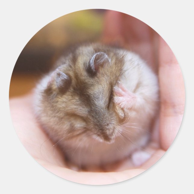 Sticker Rond Un mal de tête de hamster (Devant)