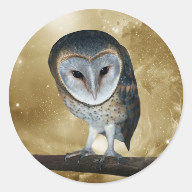 Sticker Rond Un mignon petit Imaginaire de Chouette (Devant)
