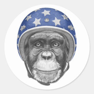 Sticker Rond Un motocycliste Chimpanzé