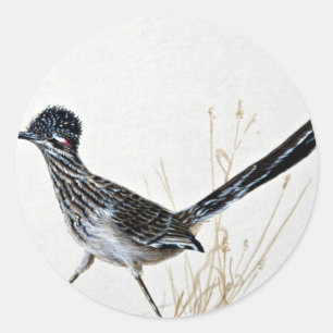 Sticker Rond Un plus grand roadrunner
