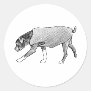 Sticker Rond Un signe de tête discret de compréhension