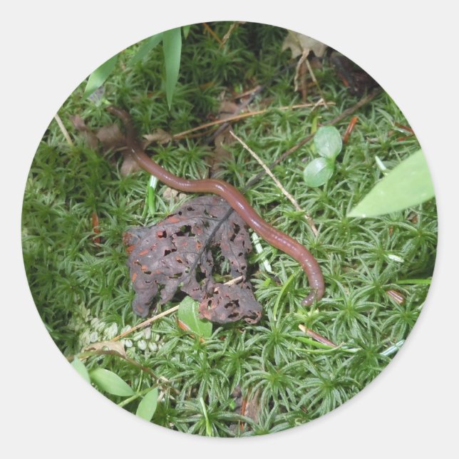 Sticker Rond Un ver de terre (Devant)