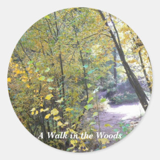 Sticker Rond Une balade dans les bois