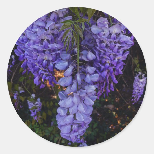 Sticker Rond une belle touche de nature  (Devant)