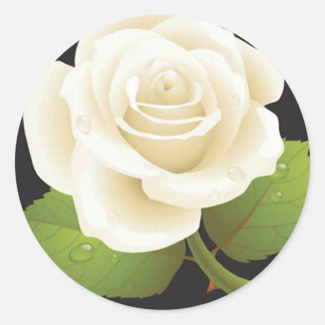 Sticker Rond Une rose blanche (Devant)