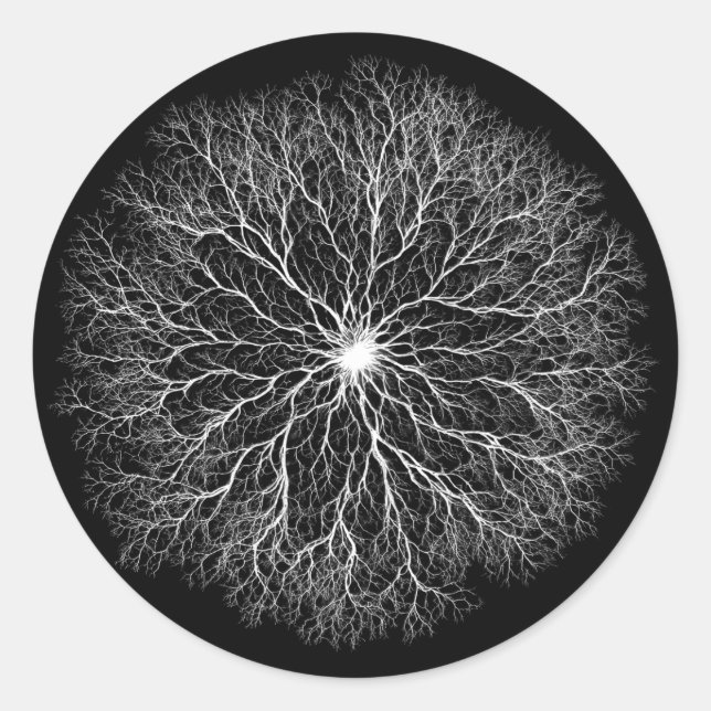 Sticker Rond Une Source | Conception de l'Arbre de Vie (Devant)