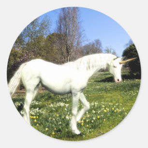 Sticker Rond Unicornes