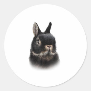 Sticker Rond Unisex féminine de lapin nain noir des Pays-Bas