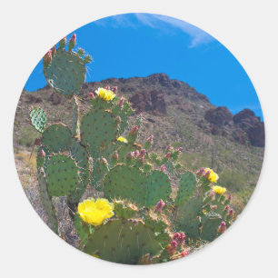 Sticker Rond USA, Arizona. Cactus Dans Les Collines