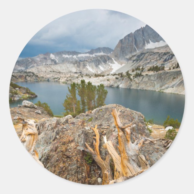 Sticker Rond USA, Californie, Inyo National Forest. (Devant)