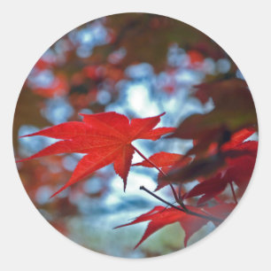 Sticker Rond USA, Kansas.Couleurs d'automne