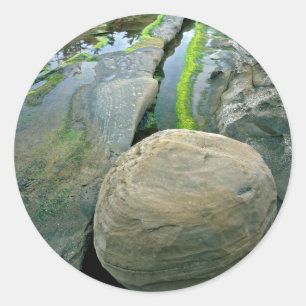 Sticker Rond USA, Oregon, Shore Acres State Park