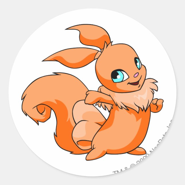Sticker Rond Usul Orange (Devant)