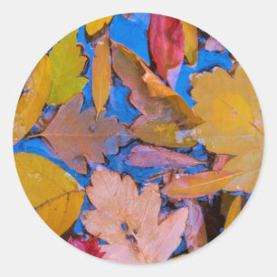 Sticker Rond Utah, zone de loisirs national de Glen Canyon 2