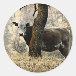 Sticker Rond Vache derrière l'arbre