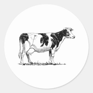 Sticker Rond Vache du Holstein