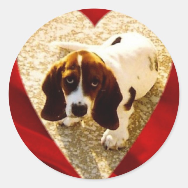 Sticker Rond Valentine Bassett Hound (Devant)