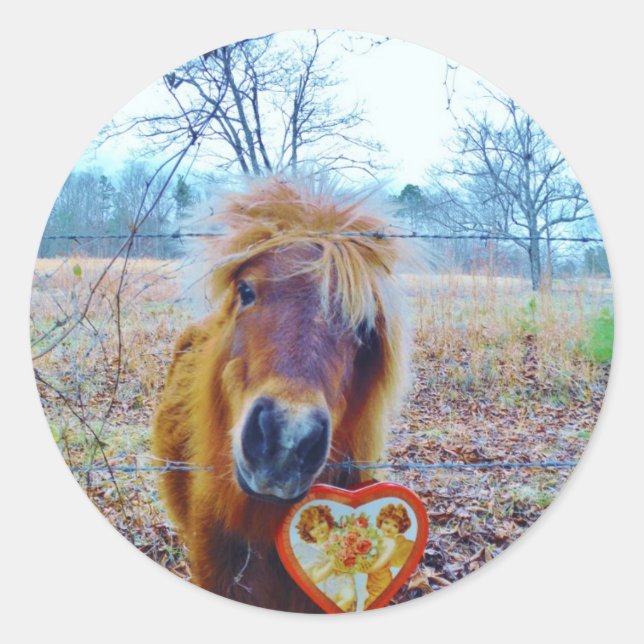 Sticker Rond Valentine Heart Horse (Devant)