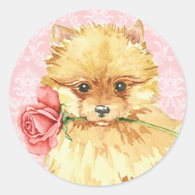 Sticker Rond Valentine Pomeranian rose (Devant)