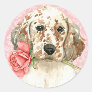 Sticker Rond Valentine Rose Anglais Setter