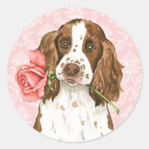 Sticker Rond Valentine Rose Anglais Springer