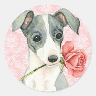 Sticker Rond Valentine Rose italien Greyhound