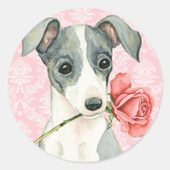 Sticker Rond Valentine Rose italien Greyhound (Devant)