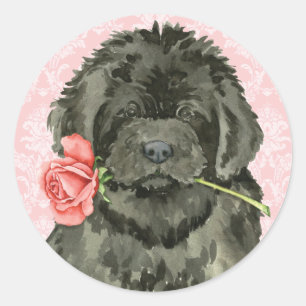 Sticker Rond Valentine Rose Terre-Neuve