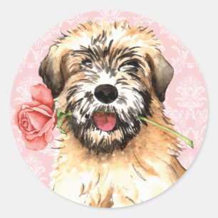 Sticker Rond Valentine Rose Wheaten