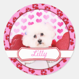 Sticker Rond Valentines - Bichon Frise - Lilly