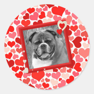Sticker Rond Valentines Boxer Chien Coeurs