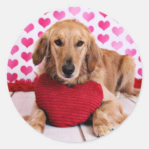 Sticker Rond Valentines - Golden Retriever - JJ