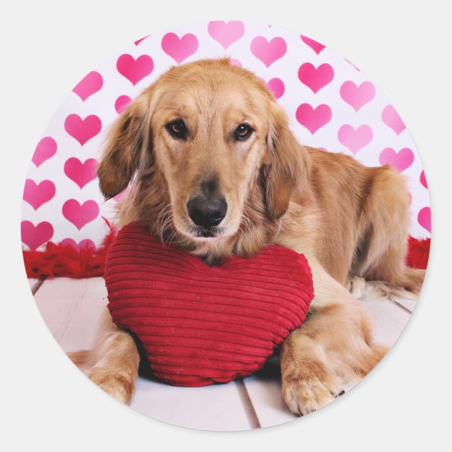 Sticker Rond Valentines - Golden Retriever - JJ (Devant)