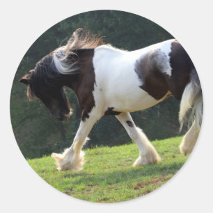 Sticker Rond Vanner Tsigane