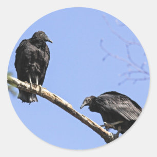 Sticker Rond Vautours noirs
