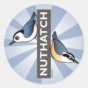Sticker Rond Ventilateur Nuthatch