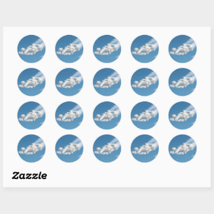Sticker Rond Véritable feuille d'autocollants circulaires de co