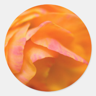 Sticker Rond vérité solitaire