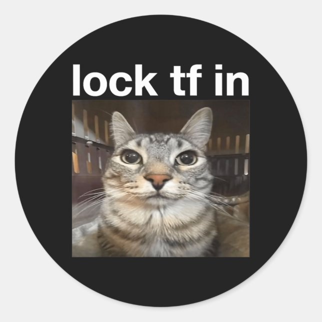 Sticker Rond Verrouiller TF dans le mème de chat (Devant)