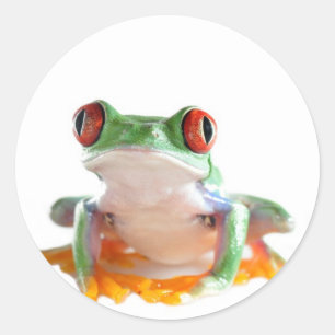 Sticker Rond Vert clair