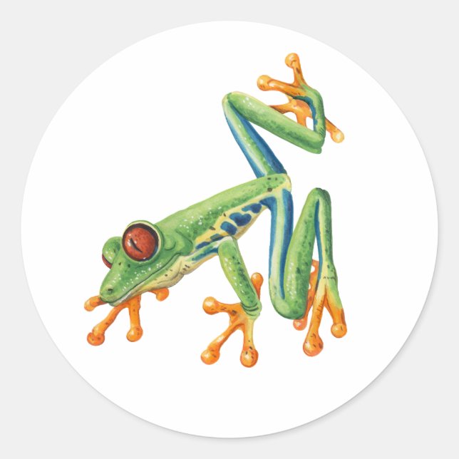 Sticker Rond Vert clair (Devant)