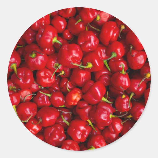 Sticker Rond Vibrant Red Chili Pepper Harvest (Devant)