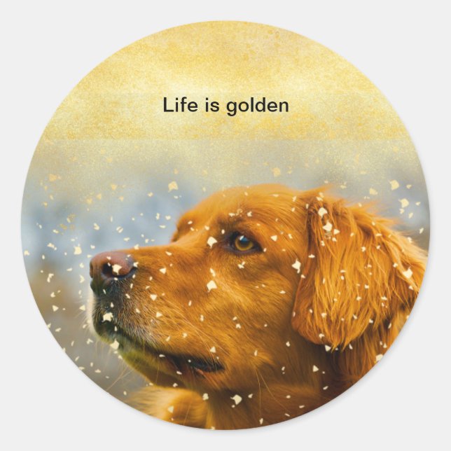 Sticker Rond vie est golden golden retriever sticker. (Devant)
