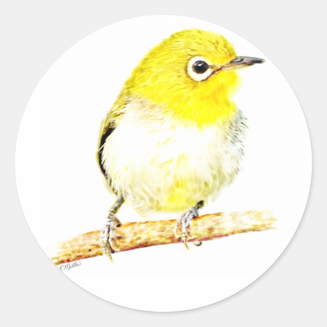 Sticker Rond Viero jaune (Devant)