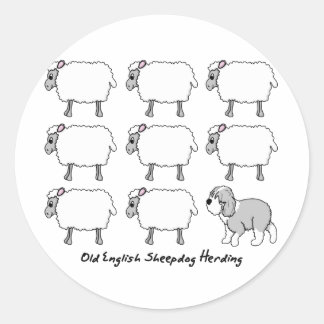 Sticker Rond Vieux anglais Sheepdog Herding Sheep