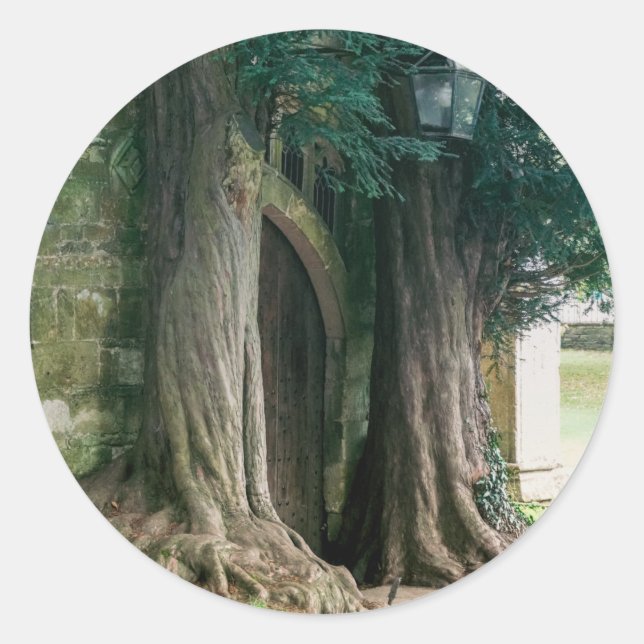 Sticker Rond Vieux arbres de Yew (Devant)