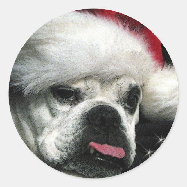 Sticker Rond Vieux Noël de Bulldog anglais (Devant)