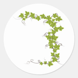 Sticker Rond vigne, feuilles verts