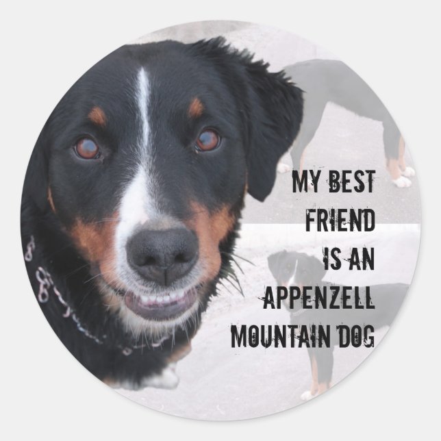 Sticker Rond Vignette "Appenzeller Sennenhund" (Devant)